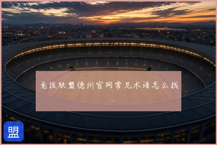 竞技联盟德州官网常见术语怎么找