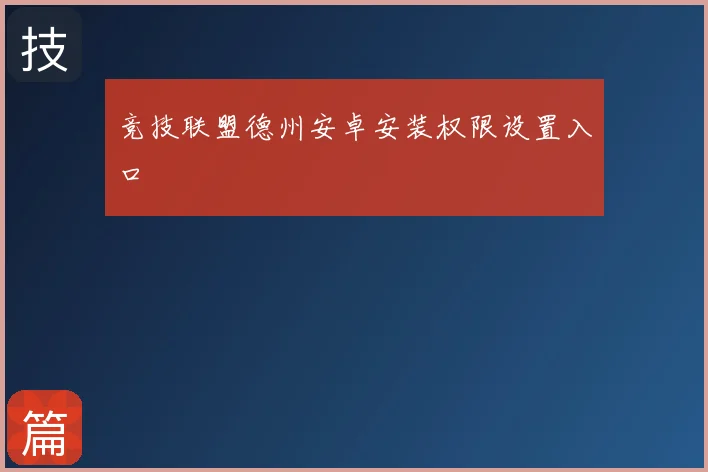竞技联盟德州安卓安装权限设置入口