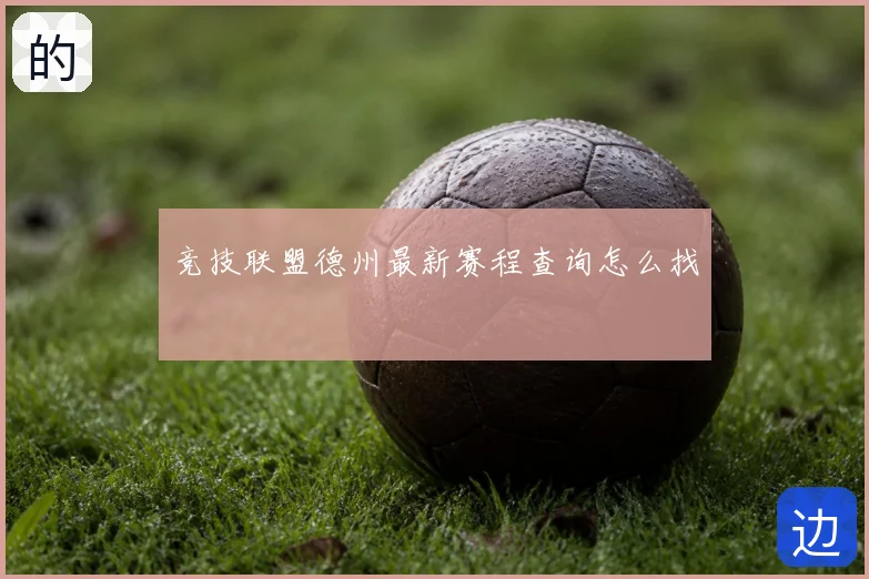 竞技联盟德州最新赛程查询怎么找